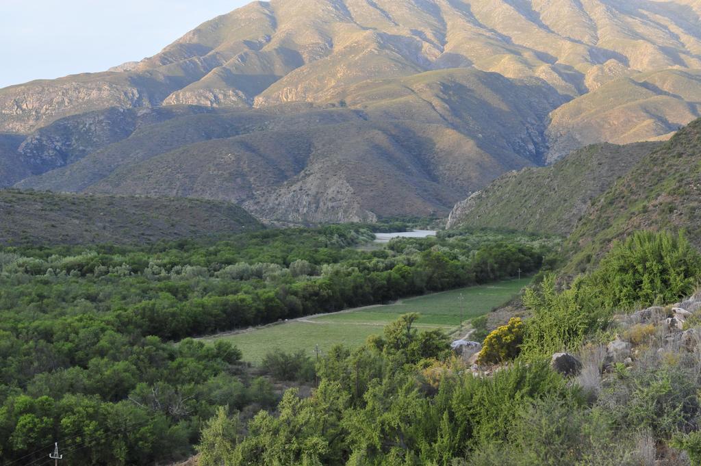 Villa Matjiesvlei Guestfarm Calitzdorp Exterior foto